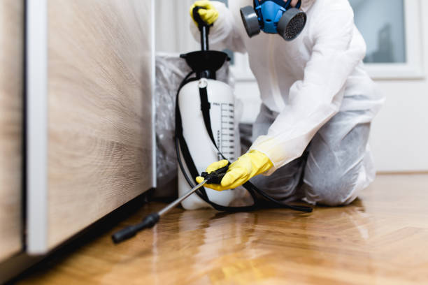 Best Cockroach Control Services  in Osceola, WI