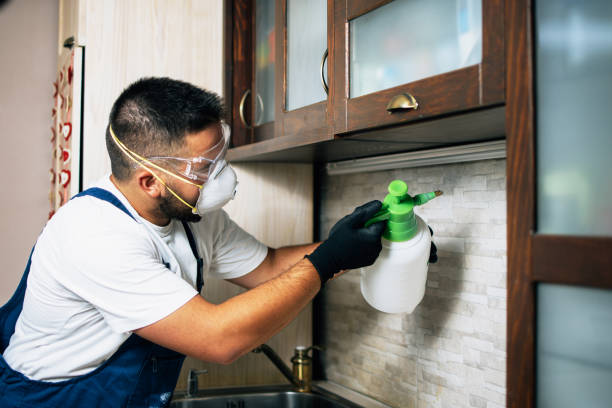 Best Pest Prevention Services  in Osceola, WI