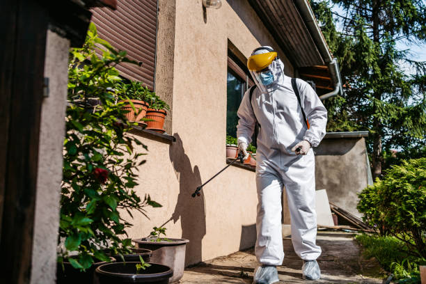 Reliable Osceola, WI Pest Control Solutions