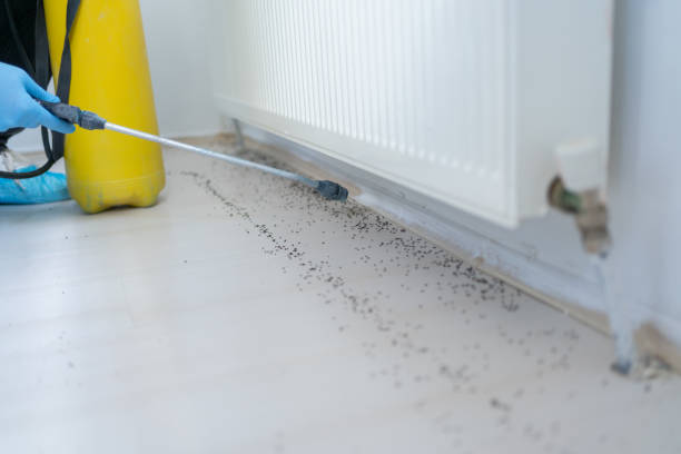 Best Affordable Pest Control Services  in Osceola, WI
