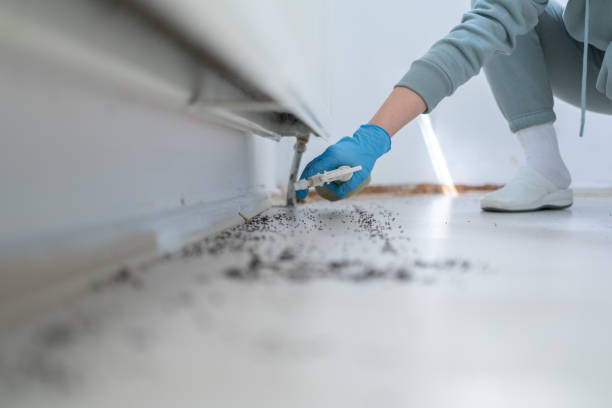 Best Pest Removal Services  in Osceola, WI