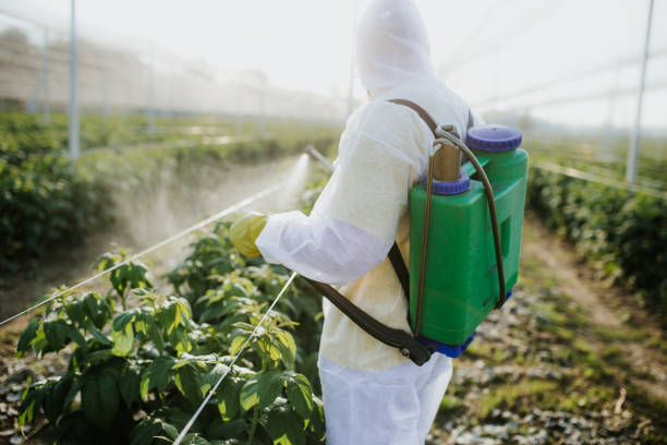 Best Exterminator Services  in Osceola, WI